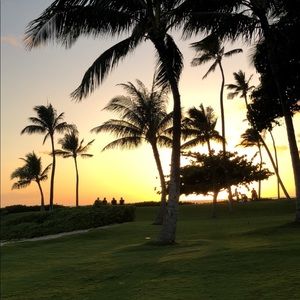 Meet your Posher, Taimane